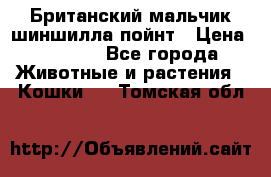 Британский мальчик шиншилла-пойнт › Цена ­ 5 000 - Все города Животные и растения » Кошки   . Томская обл.